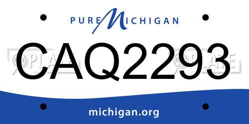 CAQ2293 Michigan License Plate