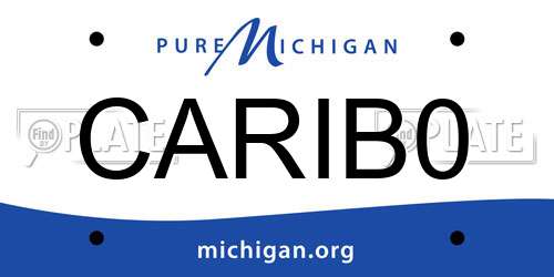 CARIB0 Michigan License Plate