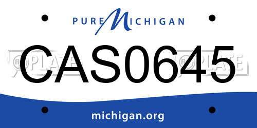 CAS0645 Michigan License Plate