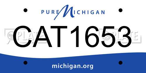 CAT1653 Michigan License Plate