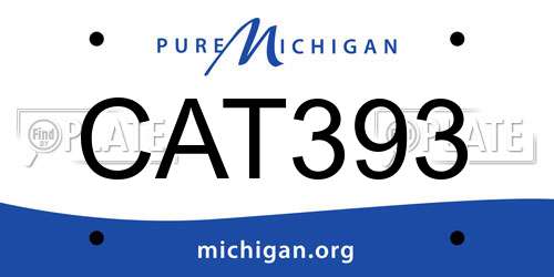 CAT393 Michigan License Plate