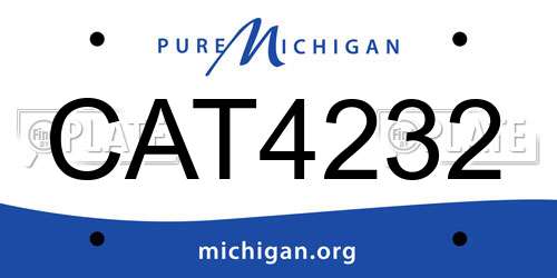 CAT4232 Michigan License Plate
