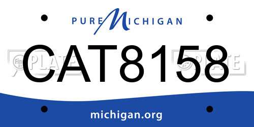 CAT8158 Michigan License Plate