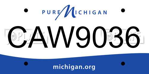 CAW9036 Michigan License Plate