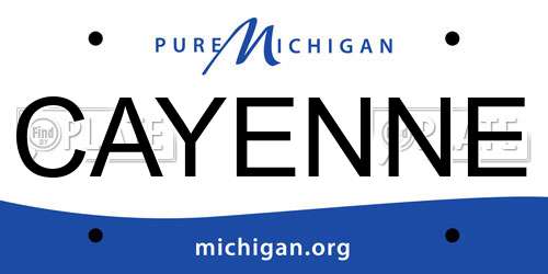 CAYENNE Michigan License Plate