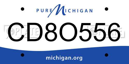 CD8O556 Michigan License Plate