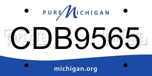 CDB9565 Michigan License Plate