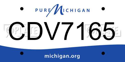 CDV7165 Michigan License Plate