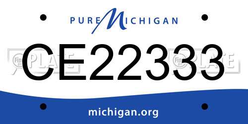CE22333 Michigan License Plate
