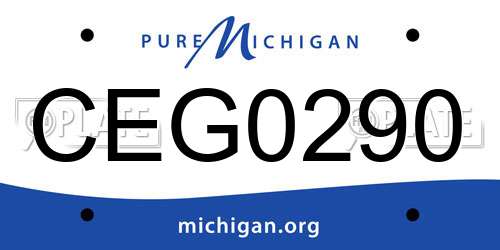 CEG0290 Michigan License Plate