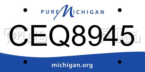 CEQ8945 Michigan License Plate