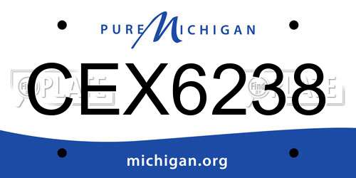 CEX6238 Michigan License Plate