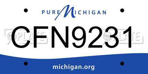 CFN9231 Michigan License Plate