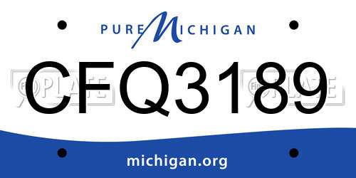 CFQ3189 Michigan License Plate