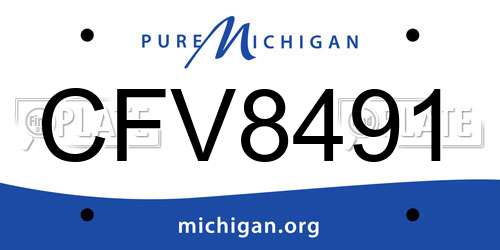 CFV8491 Michigan License Plate
