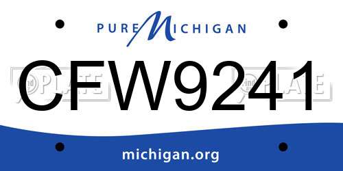 CFW9241 Michigan License Plate