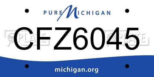 CFZ6045 Michigan License Plate
