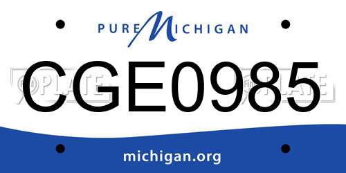 CGE0985 Michigan License Plate