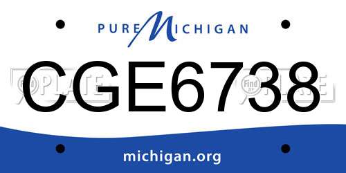 CGE6738 Michigan License Plate