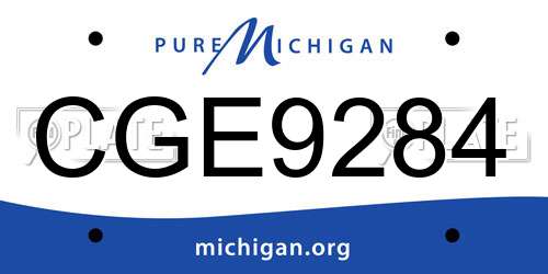 CGE9284 Michigan License Plate