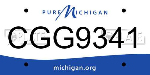 CGG9341 Michigan License Plate