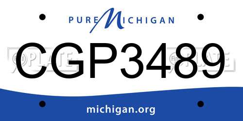 CGP3489 Michigan License Plate