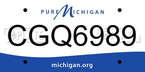 CGQ6989 Michigan License Plate