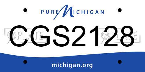 CGS2128 Michigan License Plate
