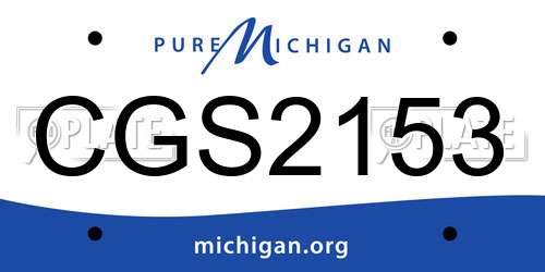 CGS2153 Michigan License Plate