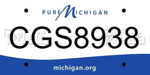CGS8938 Michigan License Plate
