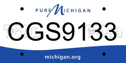 CGS9133 Michigan License Plate