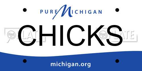 CHICKS Michigan License Plate
