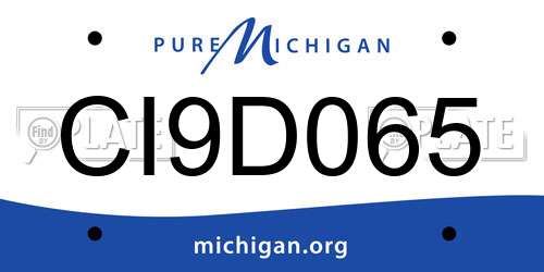 CI9D065 Michigan License Plate