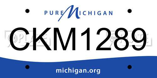 CKM1289 Michigan License Plate