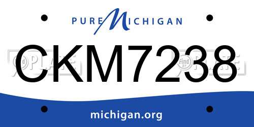 CKM7238 Michigan License Plate