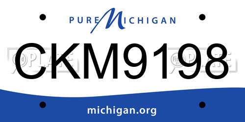 CKM9198 Michigan License Plate