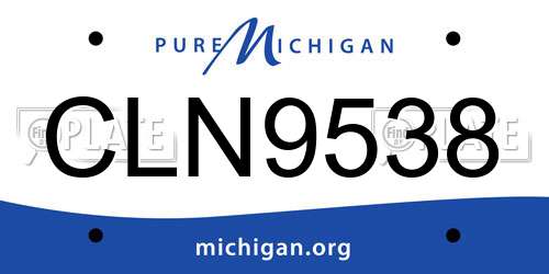 CLN9538 Michigan License Plate