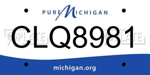 CLQ8981 Michigan License Plate