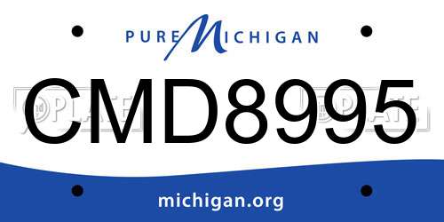 CMD8995 Michigan License Plate