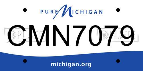 CMN7079 Michigan License Plate