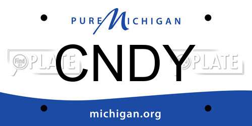 CNDY Michigan License Plate