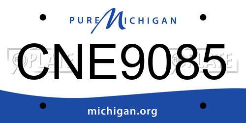 CNE9085 Michigan License Plate