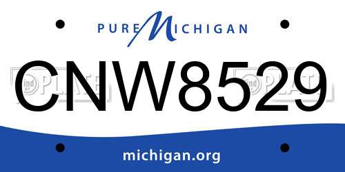CNW8529 Michigan License Plate