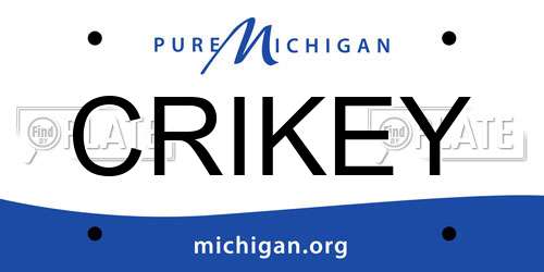 CRIKEY Michigan License Plate