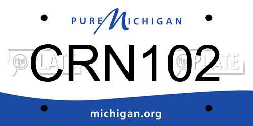CRN102 Michigan License Plate