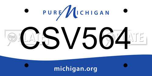 CSV564 Michigan License Plate