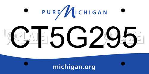 CT5G295 Michigan License Plate