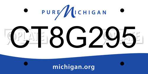 CT8G295 Michigan License Plate