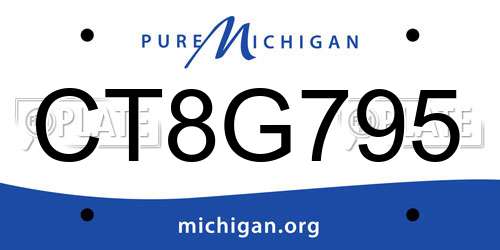 CT8G795 Michigan License Plate