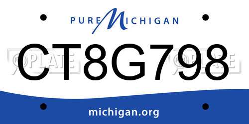 CT8G798 Michigan License Plate